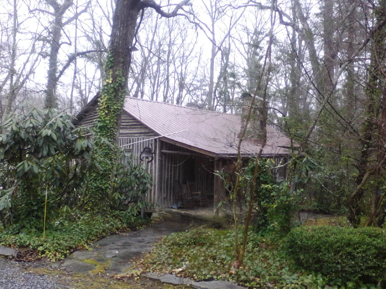 Weathered metal roof on an old board sided cabin in the woods in Falmouth