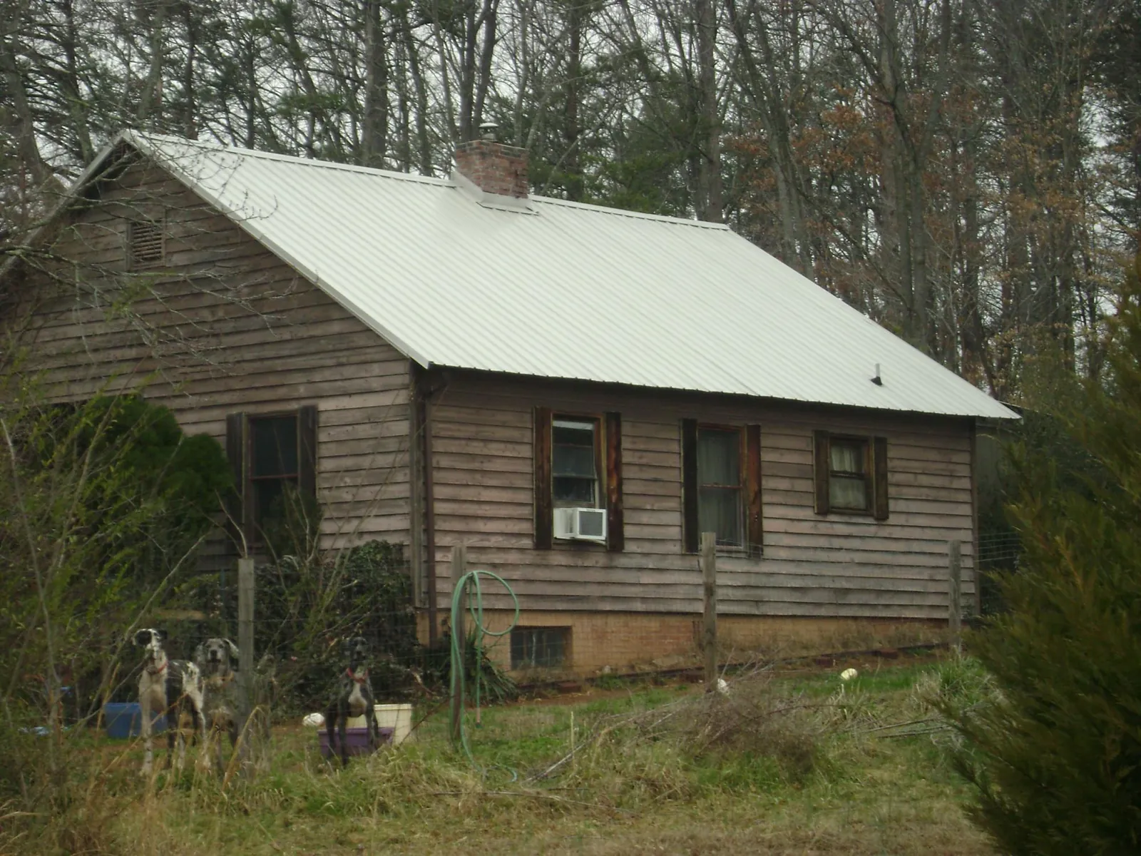 White metal roof on an old wood sided farmhouse, from a Metal Roof Installation job in Falmouth